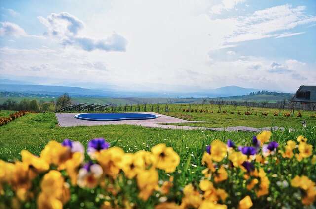 Лоджи KRAYKA house Starunya-33